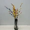 plum blossom branch